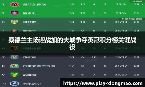 桑德兰主场迎战加的夫城争夺英冠积分榜关键战役